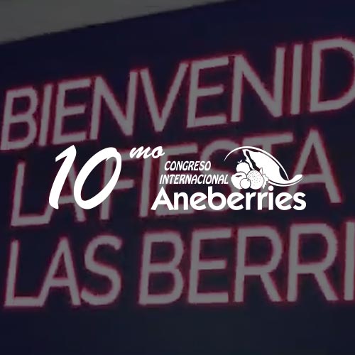 Aneberries-Memorias-1