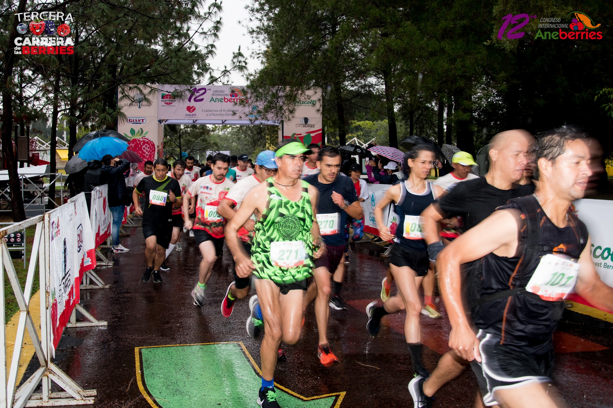 12a Edición Congreso Aneberries